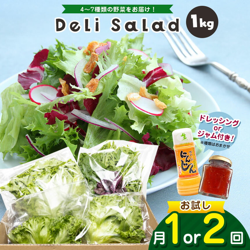 【ふるさと納税】【 選べる回数 1回 or 2回 】 サラダミックス \ デリサラダ / Deli Salad ★ ドレッシング or ジャム付き セット 1kg | アグリード お試し サラダ お手軽 ミックス野菜 西洋ハーブ 個別包装 新鮮 美しい野菜 水耕栽培 イチオシ 千葉県 君津