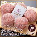 【ふるさと納税】☆千葉県産ブランド牛「かずさ和牛」ハンバーグ...