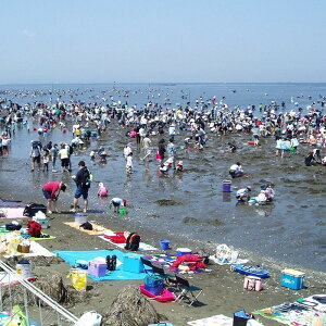 【ふるさと納税】◇富津海岸 潮干狩入り浜券(大人2枚・小人1枚・網袋付)が大人気返礼品になっている理由とは ふるさと納税 人気 返礼品 ランキング