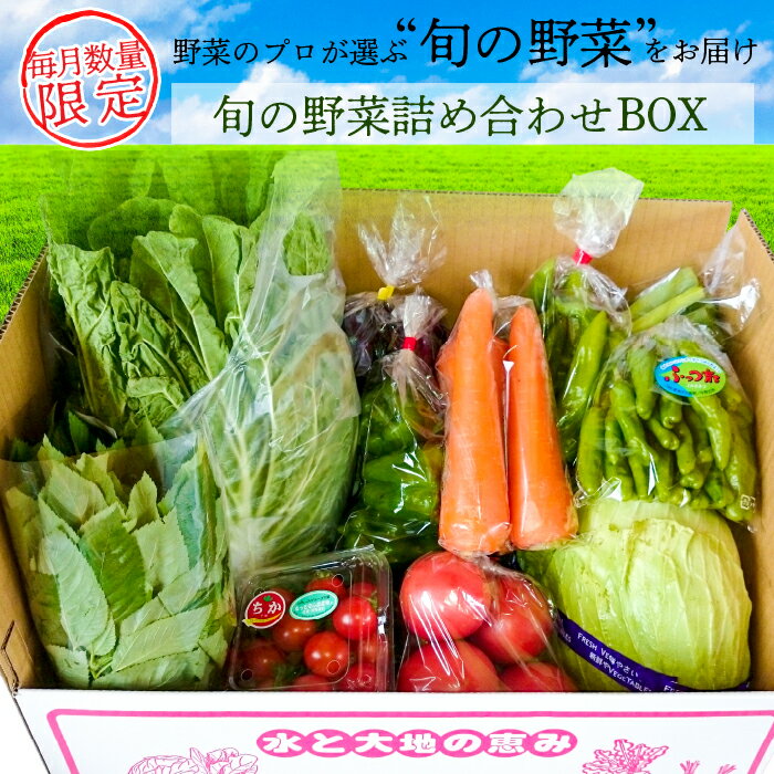 【ふるさと納税】野菜 農産物 旬 詰め合わせ BOX お楽しみ 国産 千葉県産 詰め合わせ セット JAきみつ 農家のこだわり