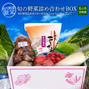 【ふるさと納税】【定期便】農家のこだわり 旬の野菜&天羽米コ...