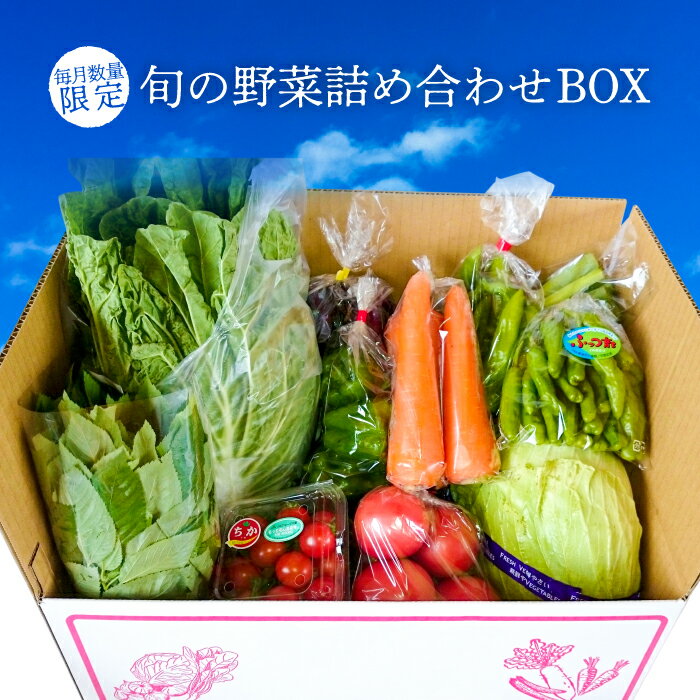 37位! 口コミ数「1件」評価「3」野菜 農産物 旬 詰め合わせ BOX お楽しみ 国産 千葉県産 詰め合わせ セット JAきみつ 農家のこだわり