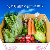 旬の野菜詰め合わせBOX