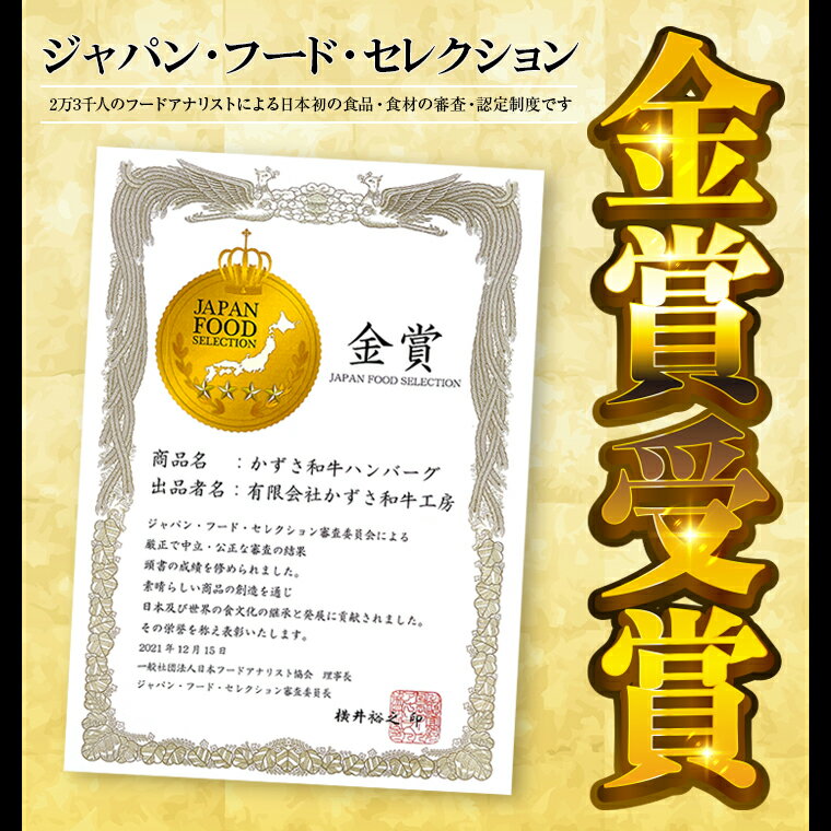 【ふるさと納税】和牛 ハンバーグ かずさ和牛 160g 3個 5個 10個 生 冷凍 真空パック ブランド和牛 黒毛和牛 国産 牛肉 肉 オールビーフ 贈答用 家庭用 お歳暮 お中元 ギフト プレゼント