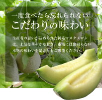 【ふるさと納税】◇【定期便3ヶ月】純系マスクメロン2玉【最高級】