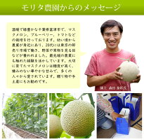 【ふるさと納税】◇【定期便3ヶ月】純系マスクメロン2玉【最高級】