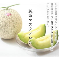 【ふるさと納税】◇【定期便3ヶ月】純系マスクメロン2玉【最高級】