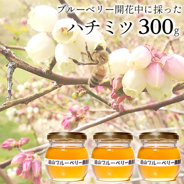 はちみつ 蜂蜜 ハチミツ 300g ブルーベリー 桜 百花蜜 遠山ブルーベリー農園産 山中養蜂 国産