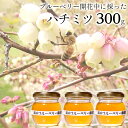 4位! 口コミ数「0件」評価「0」はちみつ 蜂蜜 ハチミツ 300g ブルーベリー 桜 百花蜜 遠山ブルーベリー農園産 山中養蜂 国産