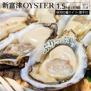 【ふるさと納税】殻付冷凍牡蠣 「新富津オイスター」1.5kg...