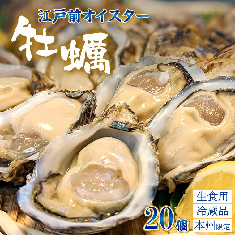 【ふるさと納税】江戸前オイスター 殻付 生牡蠣 20個 2年牡蠣 牡蠣ナイフ 軍手付 カキ 新富津漁業協同組合 国産 千葉県産 産地直送 魚介類 貝 海産物 数量限定 千葉県 富津市 送料無料のサムネイル
