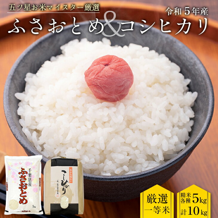 米 精米 令和5年産 ふさおとめ × コシヒカリ 食べ比べ セット 計10kg 1袋5kg 千葉県産 竹ノ内米店