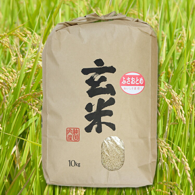 【ふるさと納税】【緊急支援品】◆訳あり◆ 令和2年産 千葉県産 ふさおとめ 20Kg（10Kg×2袋） 玄米 米 産地直送 五つ星マイスター 厳選 送料無料