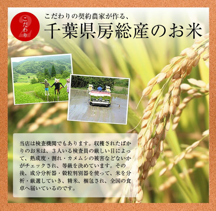 【ふるさと納税】◆定期便3ヶ月◆ 令和4年産 千葉県産 コシヒカリ 毎月10kg×3回 計30kg 精米 一等米 五ツ星お米マイスター 厳選 白米 米 ごはん ご飯 産地直送 定期便 毎月1回 こしひかり 千葉県 富津市 送料無料