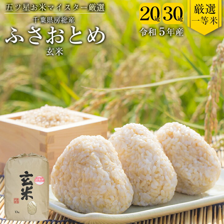 【ふるさと納税】米 玄米 令和5年産 ふさおとめ 20kg 30kg 1袋10kg 千葉県産 竹ノ内米店