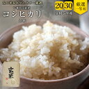 米 玄米 令和5年産 コシヒカリ 20kg 30kg 1袋10kg 千葉県産 竹ノ内米店