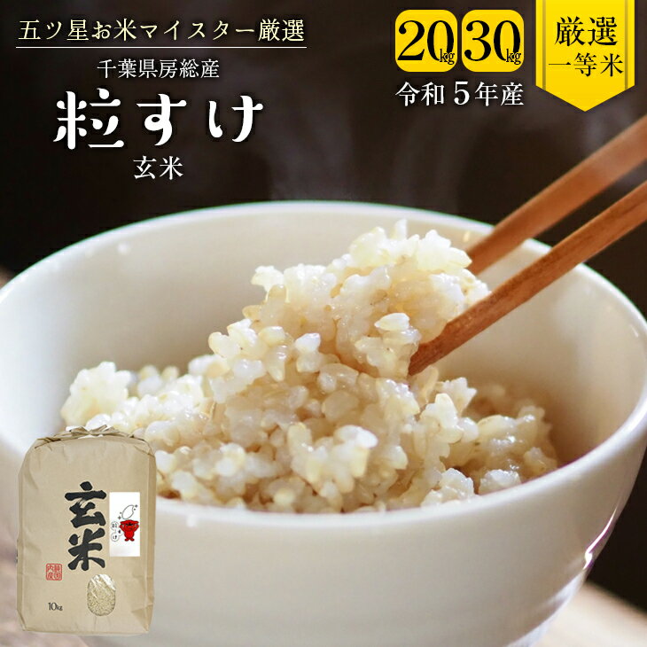 米 玄米 令和5年産 粒すけ 20kg 30kg 1袋10kg 千葉県産 竹ノ内米店