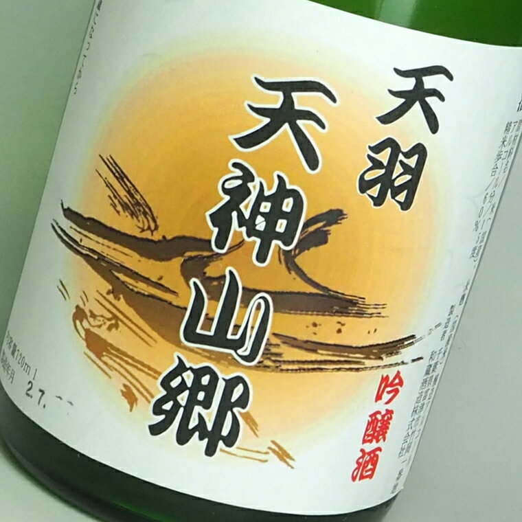 【ふるさと納税】日本酒 吟醸酒 純米酒 「天羽 天神山郷」 セット 飲み比べ 720ml 2本 2