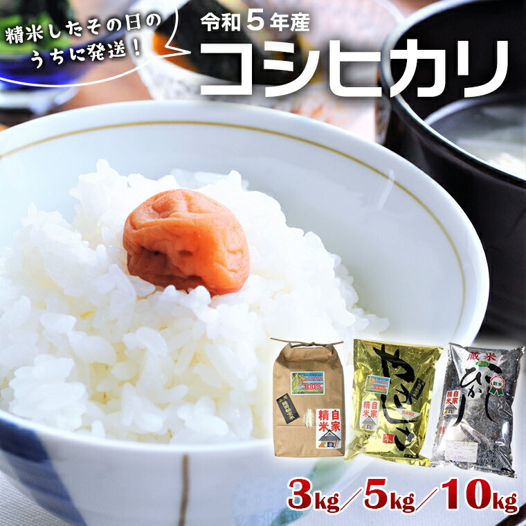 15位! 口コミ数「0件」評価「0」米 コシヒカリ 令和5年産 富津産 3kg 5kg 10kg 1袋 精米 鳥海商店