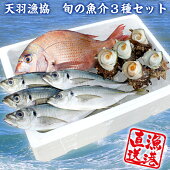 【朝獲れ直送！】天羽漁協旬の魚介３種セット