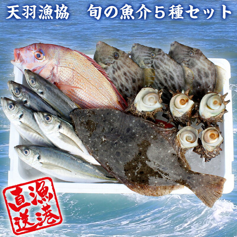 楽天市場 ふるさと納税 天羽漁協 旬の魚介5種セット お楽しみ 新鮮 朝獲れ直送 漁業協同組合 国産 千葉県産 産地直送 旬魚 活魚 鮮魚 魚介類 魚貝 詰め合わせ 詰合せ セット プロ御用達 毎月数量限定 千葉県 富津市 送料無料 千葉県富津市 みんなのレビュー 口コミ