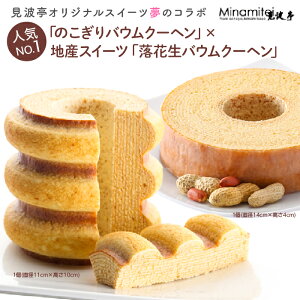 【ふるさと納税】【コロナ 応援 食品】【コロナ 応援 スイーツ】見波亭 千葉県バウムクーヘンセット 2種 のこぎり山バウムクーヘン 落花生バウムクーヘン 詰め合わせ 詰合せ 常温 菓子 洋菓子 贈り物 贈答用 プレゼント お土産 手土産 ギフト おやつ 千葉県 富津市 送料無料