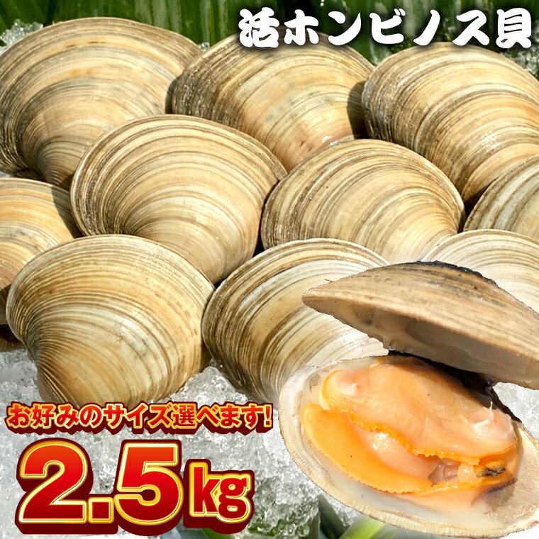 富津市のふるさと納税返礼品還元率・コスパランキング【2023年12月最新】