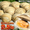 【ふるさと納税】ホンビノス貝 Lサイズ130g～160g 計2.5kg 冷蔵 国産 白ハマグリ 白蛤 はまぐり 大アサリ 浜焼き BBQ バーベキュー アウトドア キャンプ 漁師直送 産地直送 魚介類 海鮮 貝 シーフード クラムチャウダー パスタ 天ぷら 酒蒸し 千葉県 富津市 送料無料