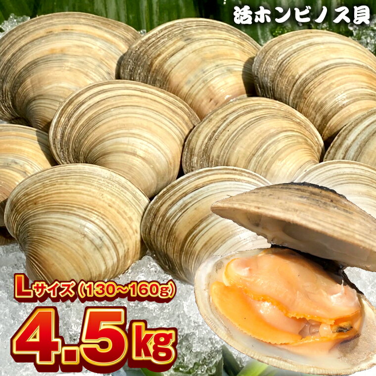 【ふるさと納税】ホンビノス貝 Lサイズ130g～160g 計4.5kg 冷蔵 国産 白ハマグリ 白蛤 はまぐり 大アサリ 浜焼き BBQ バーベキュー アウトドア キャンプ 漁師直送 産地直送 魚介類 海鮮 貝 シーフード クラムチャウダー パスタ 天ぷら 酒蒸し 千葉県 富津市 送料無料