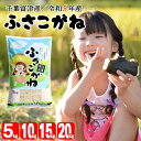 【ふるさと納税】米 精米 令和5年産 ふさこがね 5kg 10kg 15kg 20kg 1袋5kg 千葉富津産 かじや分店