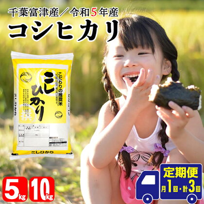 ◆定期便3ヶ月◆ 米 精米 令和5年産 コシヒカリ こしひかり 5kg 計15kg 10kg 計30kg 1袋5kg 千葉富津産 かじや分店