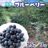 ڤդ뤵Ǽǡۥ֥롼٥꡼  1.5kg (1) 3kg (1kg3) ̸ ťե