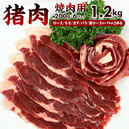 ジビエ 猪肉 イノシシ 焼肉 冷凍 ALSOKの房総ジビエ 焼肉用 3部位 200g×6パック 計1.2kg