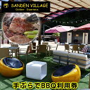 【ふるさと納税】SANDEN VILLAGE 手ぶらでBBQ利用券 バーベキュー アウトドア キャンプ場 サンデンヴィレッジ チケット 体験 送料無料 千葉県 富津市