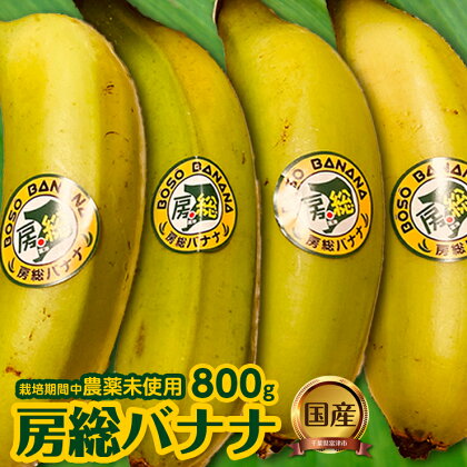 バナナ 房総バナナ 800g 4～8本 農薬未使用 ★2024年6月～10月発送分★