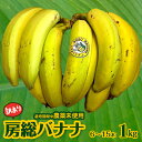 【ふるさと納税】バナナ 果物 フルーツ 訳あり 規格外 1kg 6~15本 国産 おすすめ 希少 農産物 農作物 農薬未使用 農薬不使用 グロスミッシェル 房総...