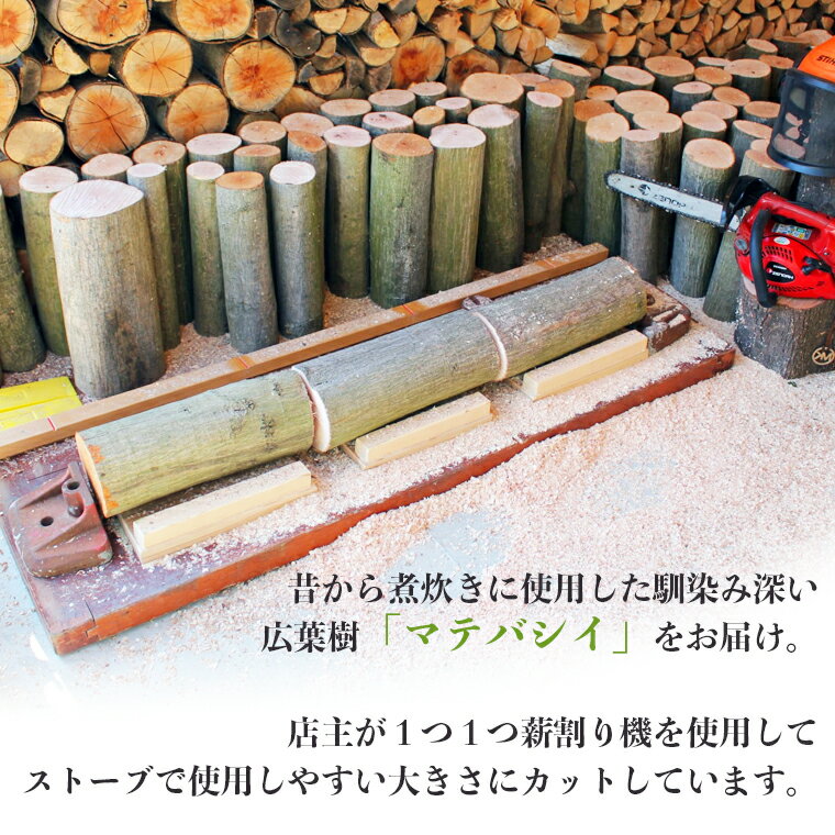 【ふるさと納税】薪 マテバシイ 約20kg 未乾燥薪 千葉県富津産 十六代目儀右エ門