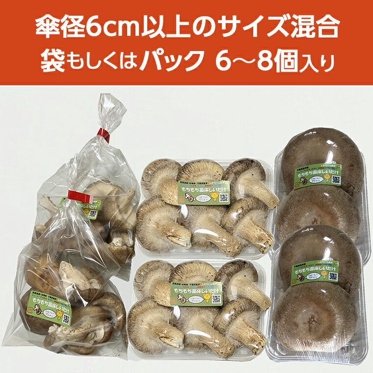 【ふるさと納税】しいたけ 椎茸 きのこ おすすめ 生 菌床 1kg 1000g もちもち おまかせ サイズいろいろ おすすめ ジューシー 万能 野菜 農産物 国産 大きい ビッグ ジャンボ 料理 パスタ スパゲティー 天ぷら 味噌汁 揚げ物 煮物 再生可能エネルギー IoT技術 オフグリット型