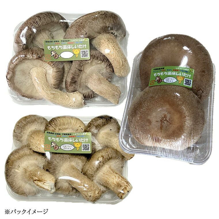 【ふるさと納税】しいたけ 椎茸 きのこ おすすめ 生 菌床 1kg 1000g もちもち おまかせ サイズいろいろ おすすめ ジューシー 万能 野菜 農産物 国産 大きい ビッグ ジャンボ 料理 パスタ スパゲティー 天ぷら 味噌汁 揚げ物 煮物 再生可能エネルギー IoT技術 オフグリット型