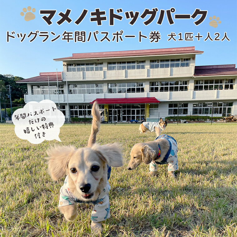【ふるさと納税】ドッグラン チケット 券 おすすめ 犬 ワンちゃん ペット 年間 パスポート 特典 おやつ ドリンク 写真 貸切 貸し切り 誕生日 マメノキドッグパーク 広い 体験 レジャー 自然 カフェ
