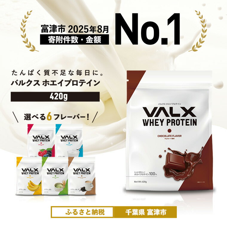 プロテイン VALX ホエイプロテイン バルクス ホエイ 420g 個包装 フレーバー 人気 国産 筋トレ トレーニング フィットネス 美容 健康 チョコレート ベリー ヨーグルト カフェオレ プロテイン 女性 プロテイン