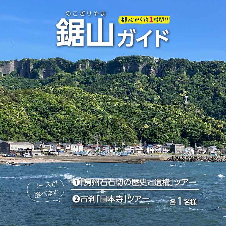 ガイド ツアー 鋸山 おすすめ 体験 登山 山 ハイキング ハイク 旅行 旅 レジャー 低山 トレッキング 自然 海 絶景 歴史 富津市 金谷 スポット 名所 ラピュタの壁 地獄のぞき 道の駅 保田小学校 古刹 日本寺 仏教 大仏 石像 羅漢像 美術館 資料館