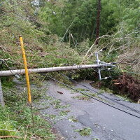 電柱がなぎ倒され塞がってしまった道路