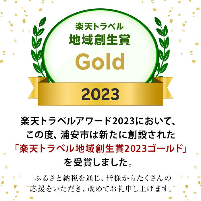 【ふるさと納税】【楽天トラベル地域創生賞Gold2023受賞】千葉県浦安市の対象施設で使える楽天トラベルクーポン 寄付額60,000円|利用可能期間3年間 観光地応援 支援 国内旅行 返礼 返礼品 泊り お泊りその2