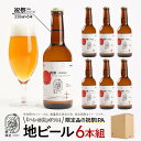 【ふるさと納税】「ハレの日」クラフトビール!限定品の”祝祭IPA”地ビール6本組 【できたて直送】無ろ過、非加熱の新鮮なクラフトビールをお送りいたします。 | ...