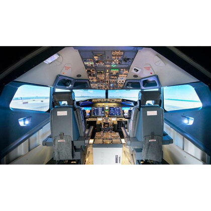 フライトシミュレーターでパイロット体験（1~4名） | 券 金券 人気 おすすめ 送料無料