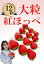 【ふるさと納税】シエルファーム 大粒いちご 12粒 紅ほっぺ / 高級 いちご 苺
