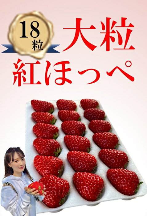 シエルファーム 大粒いちご 18粒 紅ほっぺ / 高級 いちご 苺
