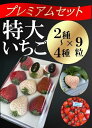 15位! 口コミ数「0件」評価「0」シエルファーム 特大いちご 9粒 プレミアム 食べ比べ / 特大 高級 いちご 苺