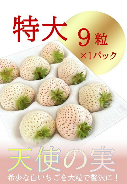 17位! 口コミ数「0件」評価「0」シエルファーム 特大 白いちご 9粒 天使の実 / 高級 いちご 苺